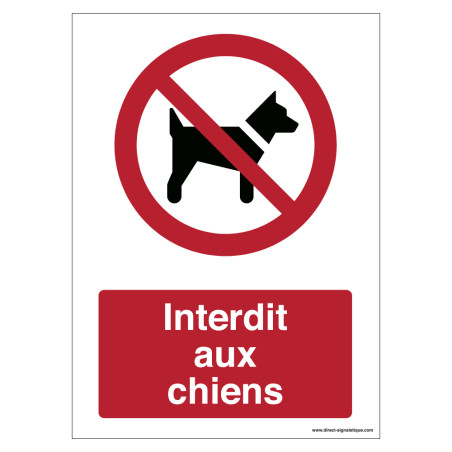 Autocollants 'Interdit Aux Chiens' P021 - Lot De 12, Ø 2,5 Cm, Norme DIN/ISO, Intérieur/extérieur
