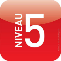 Plaque d´étage - Niveau 5 - Icone® Rouge rubis 120