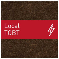 Plaque de Porte Local TGBT - H110 x L110 mm - Gamm