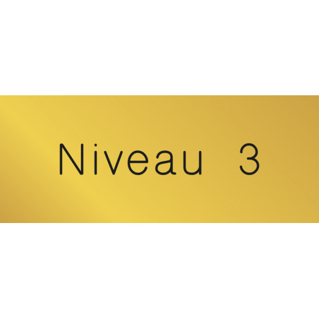 Signalétique gravée Niveau 3 - Gamme Métal